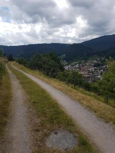 Blick auf Forbach