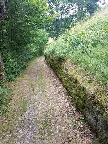 Entlang an einer Steinmauer führt der Weg