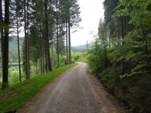 Weg zum Schwarzenbachstausee