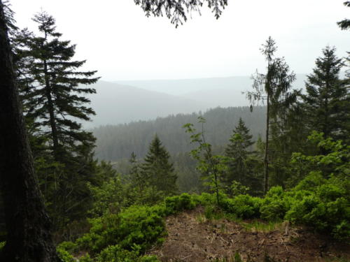 Aussicht beim Aufstieg zur Badener Höhe