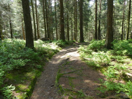 Aufstieg auf den Hochkopf