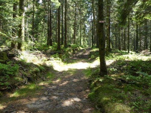 Aufstieg auf den Hochkopf