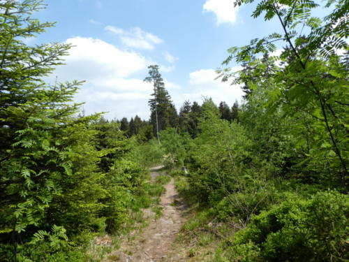 Aufstieg auf den Hochkopf