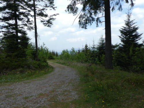 Aufstieg auf den Hochkopf