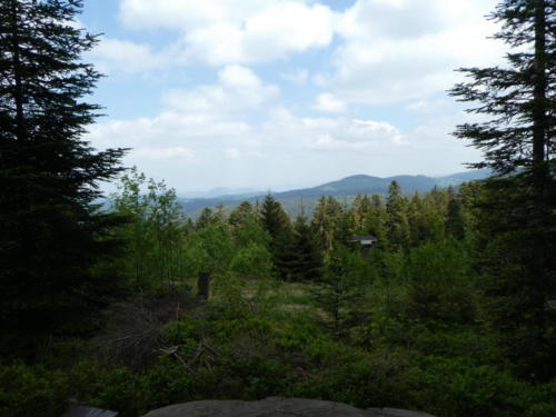 Blick über den Schwarzwald