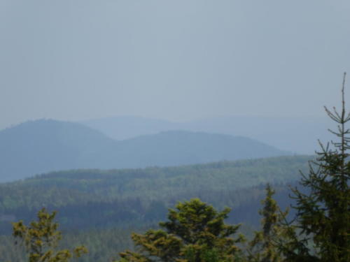 Blick über den Schwarzwald