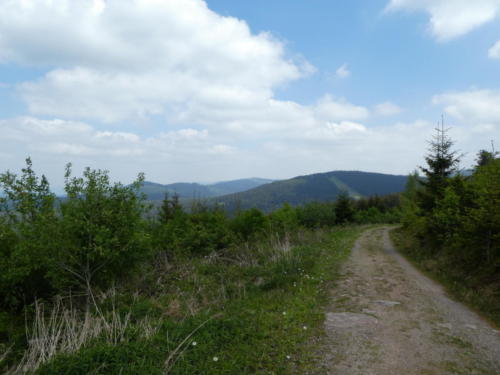 Blick über den Schwarzwald. Ganz hinten die Badener Höhe