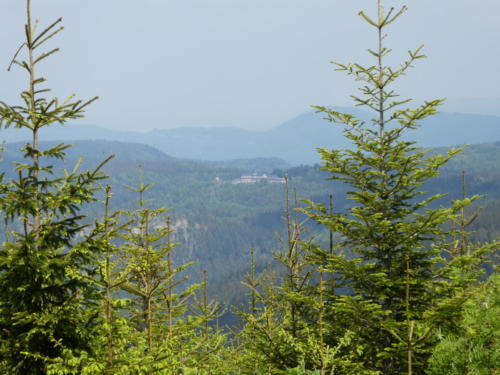 Blick über den Schwarzwald