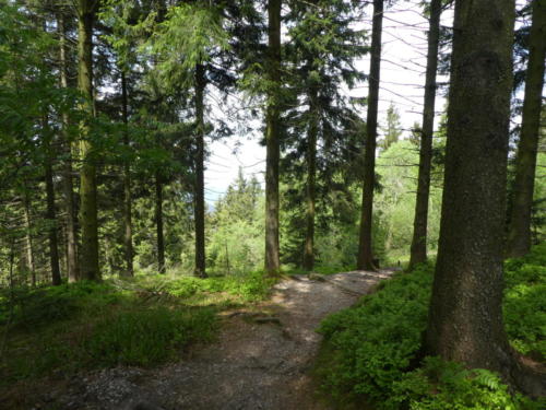 Aufstieg auf den Hochkopf