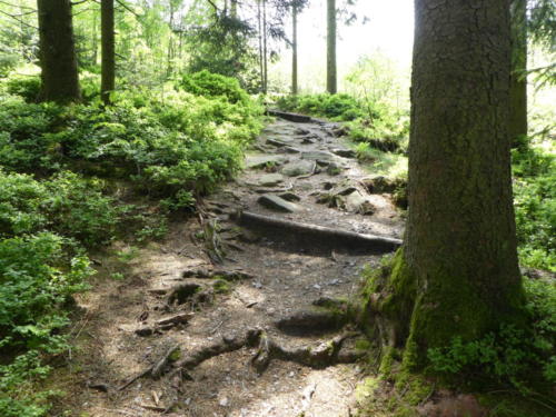 Aufstieg auf den Hochkopf