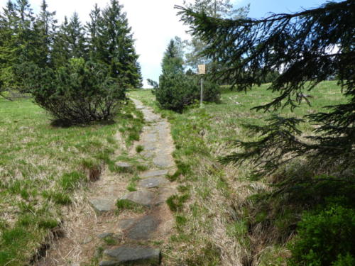 Blick zurück zum Hochkopf