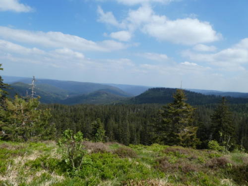 Ausblick von der Hornisgrinde