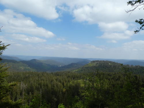 Ausblick von der Hornisgrinde