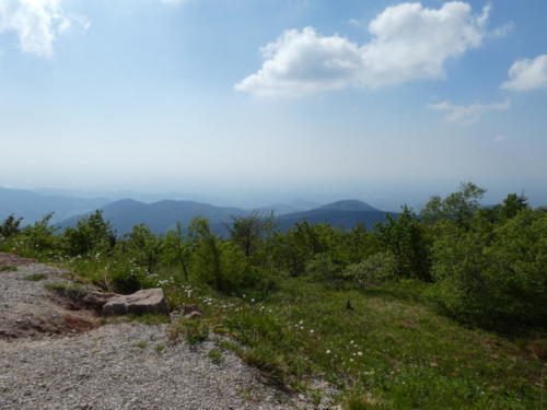 Ausblick von der Hornisgrinde