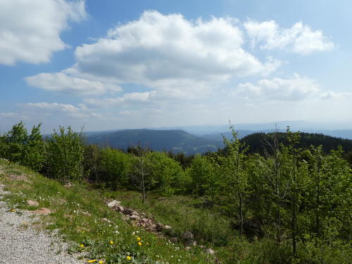 Ausblick von der Hornisgrinde