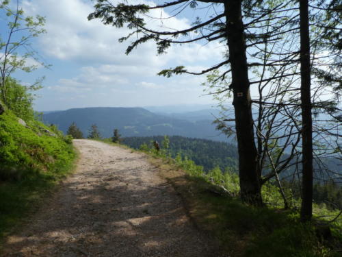 Ausblick von der Südlichen Flanke der Hornisgrinde