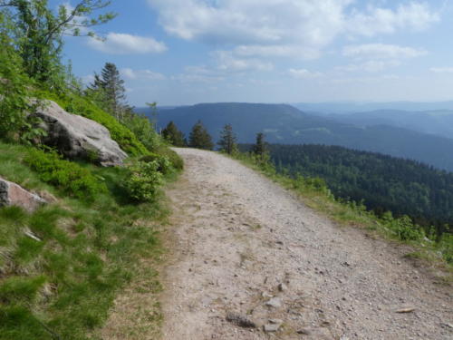 Ausblick von der Südlichen Flanke der Hornisgrinde