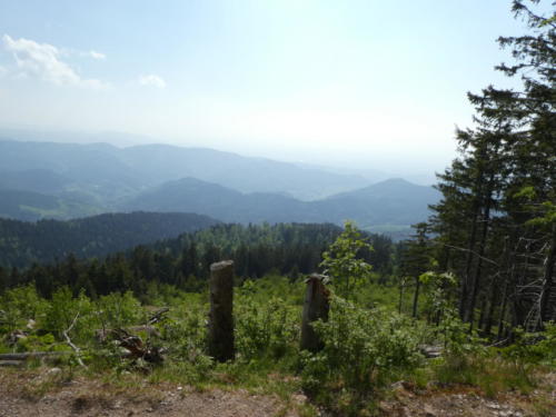 Ausblick von der Südlichen Flanke der Hornisgrinde