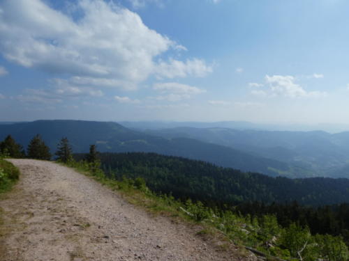 Ausblick von der Südlichen Flanke der Hornisgrinde