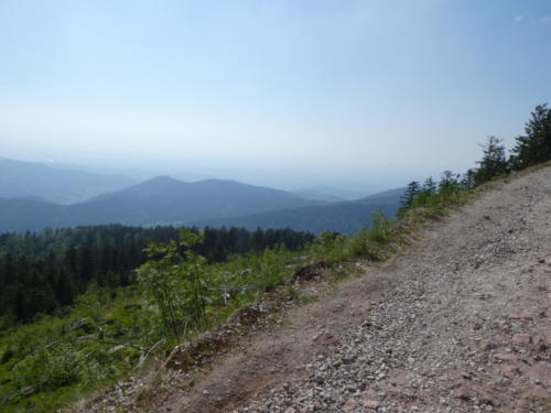 Ausblick von der Südlichen Flanke der Hornisgrinde