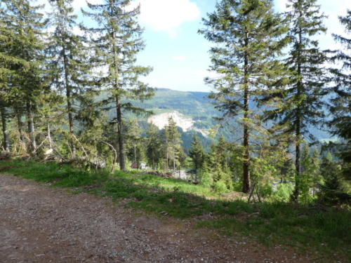 Ausblick von der Südlichen Flanke der Hornisgrinde