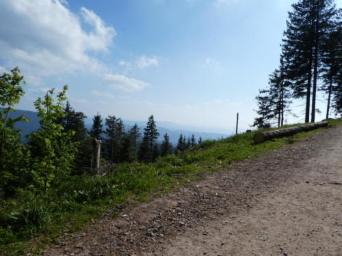 Ausblick von der Südlichen Flanke der Hornisgrinde