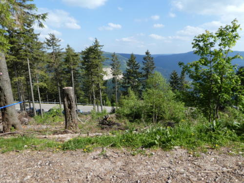 Ausblick von der Südlichen Flanke der Hornisgrinde