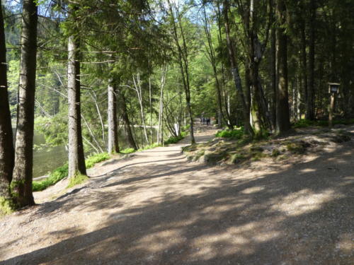 Der sehr touristische Mummelsee