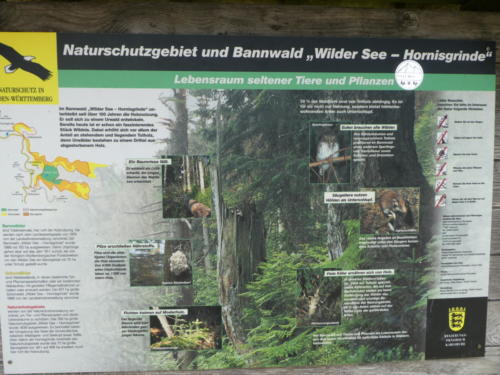 Infotafel am Seekopf