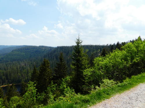 Aussicht vom Seekopf auf den Wildsee