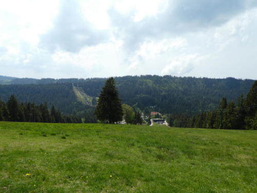 Blick über Ruhestein