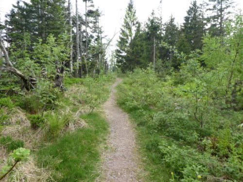 Wanderpfad zwischen Schweinkopf und Schliffkopf