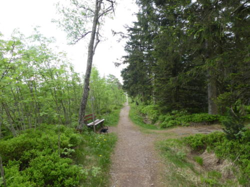 Wanderpfad zwischen Schweinkopf und Schliffkopf