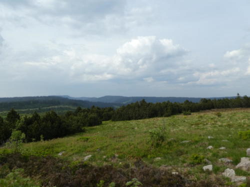 Oben auf dem Schliffkopf