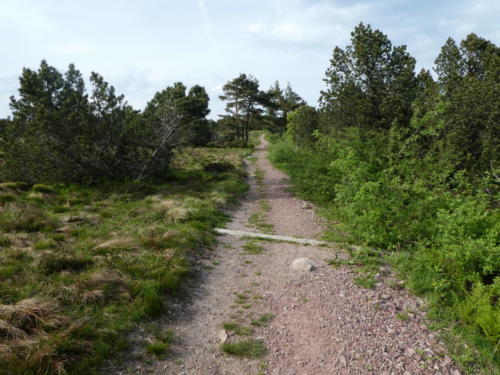 Wanderpfad über den Schliffkopf