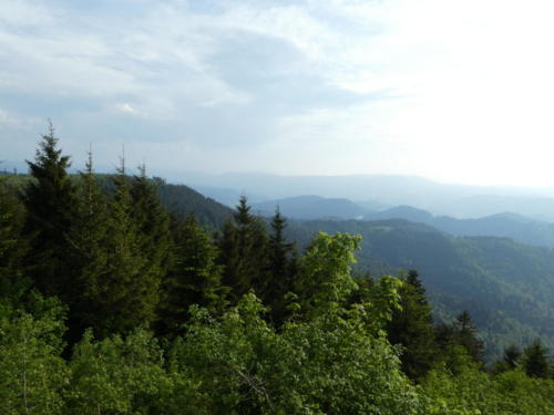 Blick Richtung Südwesten vom Schliffkopf