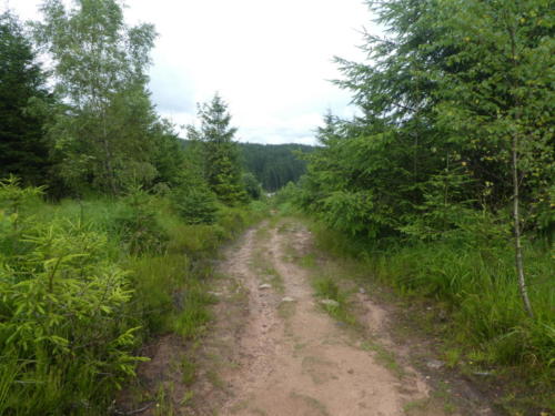 Wanderpfad von der Lettstädter Hütte Richtung Glaswaldsee