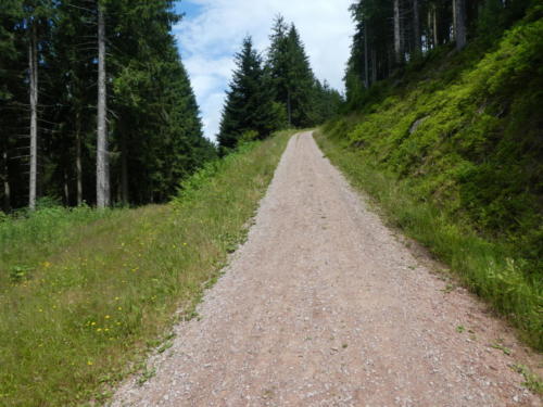 Von oben kommend führt der Westweg steil bergab.