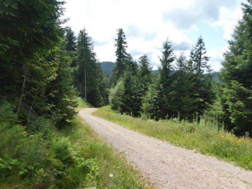 Weg beim Juliusbrunnen