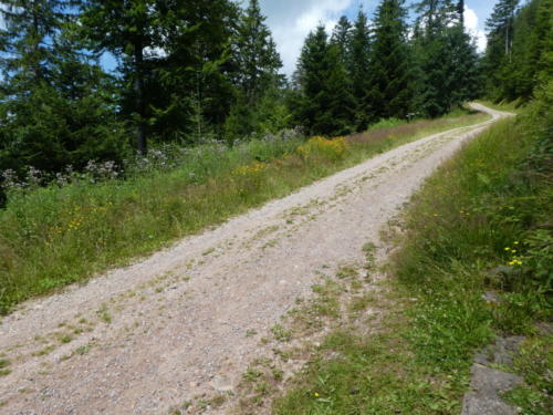 Weg beim Juliusbrunnen