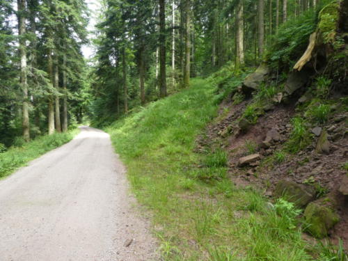 Hinter der Freiersberger Hütte geht es wieder bergauf