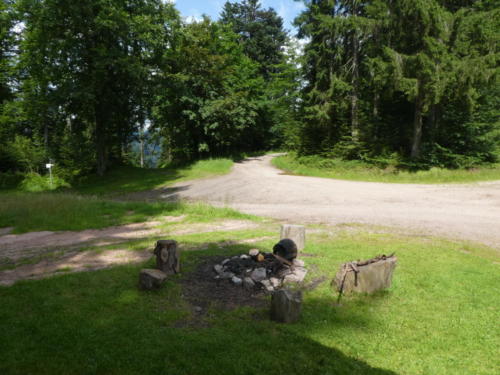 Große Wiese vor der Haaghütte