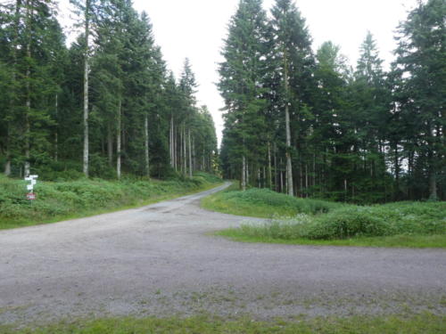 Große Wege vor der Haaghütte