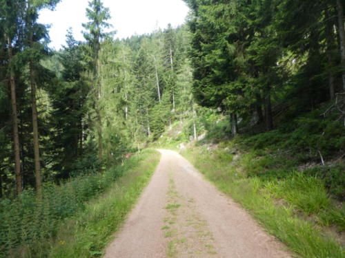 Weg von der Haaghütte zum Harkhof