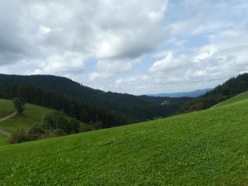 Ausblick oberhalb vom Harkhof ins Riersbachtal