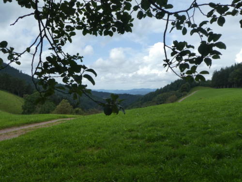 Ausblick oberhalb vom Harkhof ins Riersbachtal