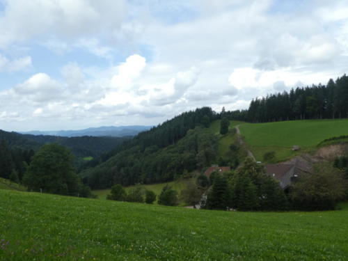 Ausblick oberhalb vom Harkhof ins Riersbachtal