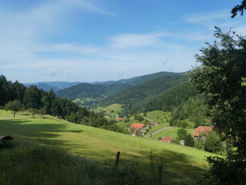 Grünes saftiges Tal, in der ferne hört man hier Kuhglücken