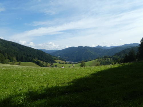 Blick auf die siebte Etappe. Der Farrenkopf