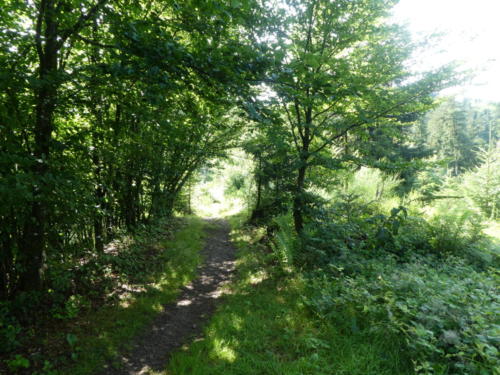 Leichter Anstieg zum Spitzfelsen